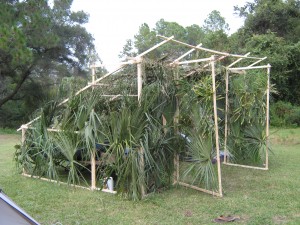 Sukkah2