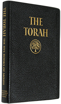 What The Torah Teaches Us About Life / Through The Themes Of ... by Laura Weakley